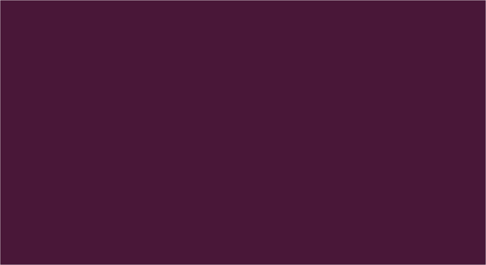 BRAUS Краситель д/кожи SUPER COLOR DARK LILAC 500 мл купить в интернет-магазине «Обувь для вас»