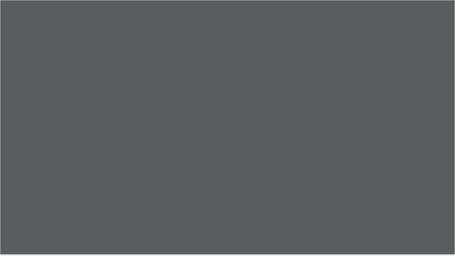 BRAUS Краситель д/кожи SUPER COLOR LIGHT GRAY 500 мл купить в интернет-магазине «Обувь для вас»