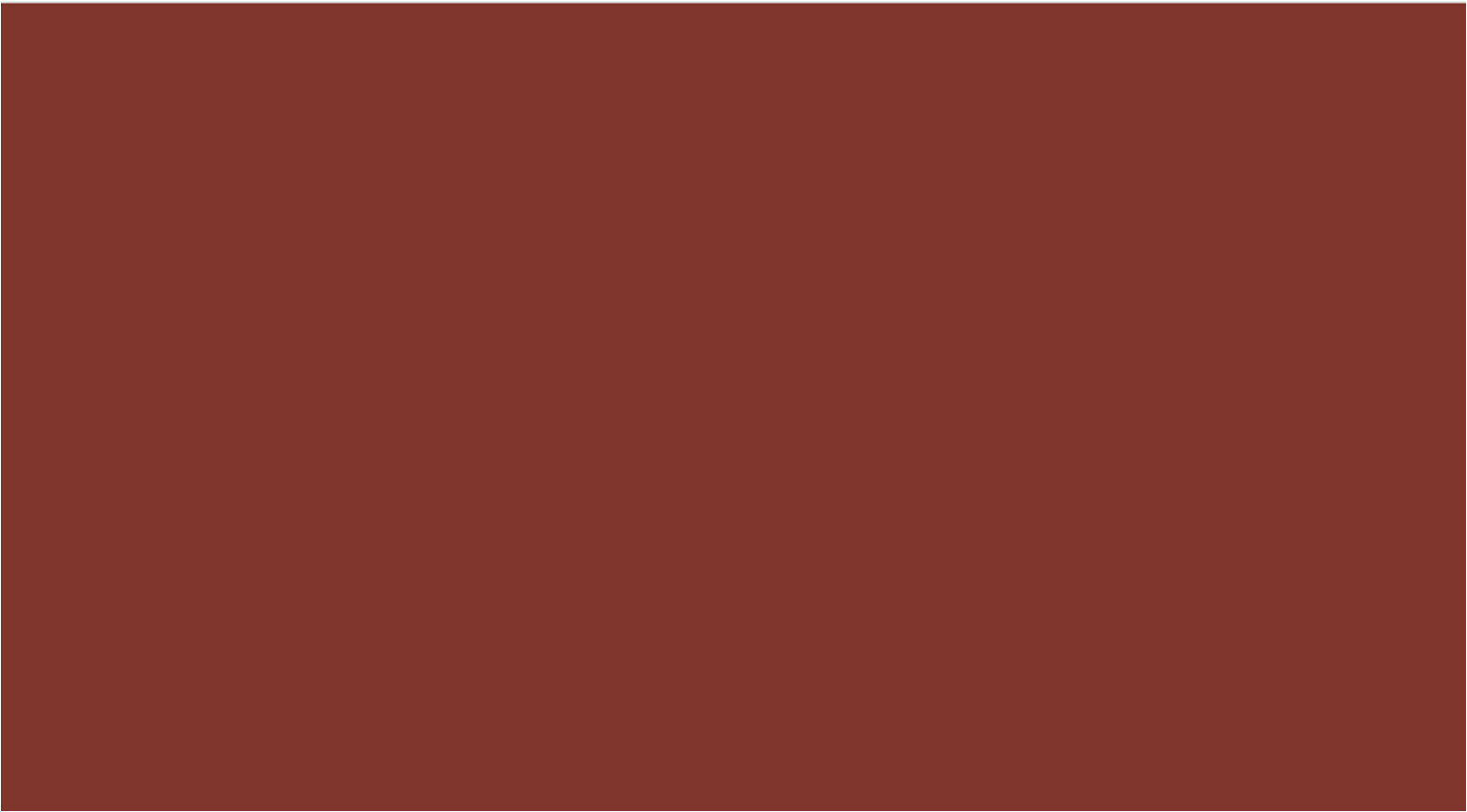BRAUS Краситель д/кожи SUPER COLOR LIGHT BROWN 500 мл купить в интернет-магазине «Обувь для вас»