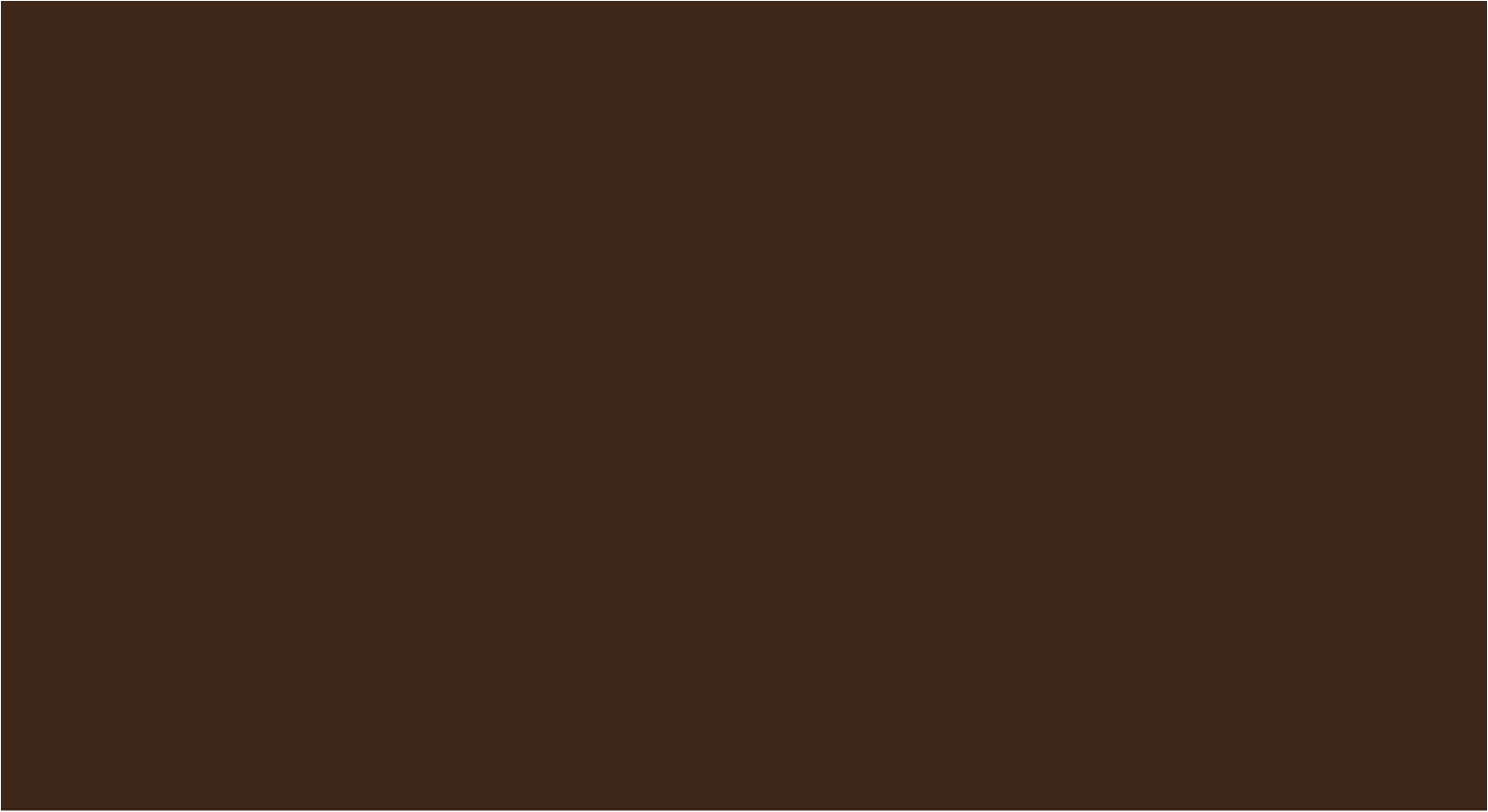 BRAUS Краситель д/кожи SUPER COLOR MIDDLE BROWN 500 мл купить в интернет-магазине «Обувь для вас»